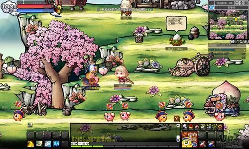 屋里湿度大适合放盆栽植物吗为什么?-专业问答在线平台